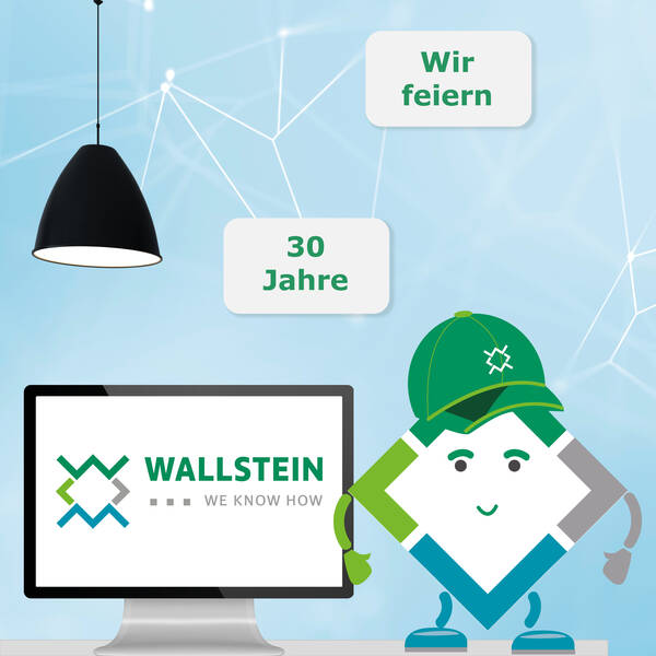 Wallstein 30 Jahre