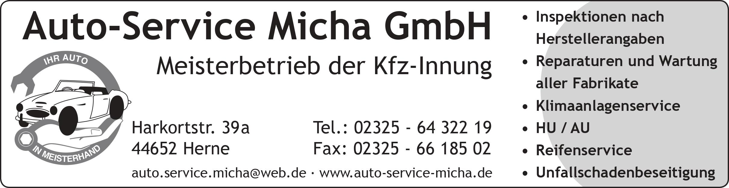 Auto Service Micha